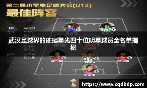 武汉足球界的璀璨星光四十位明星球员全名单揭秘